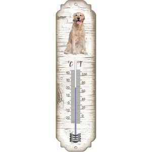 Thermometer: Golden Retriever | Hondenras | Temperatuur binnen en buiten | -25 tot +45C