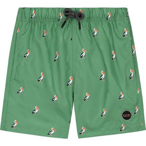 Shiwi SWIMSHORTS SHIWI SWIMSHORTS REGULAR - sage green - 122/128