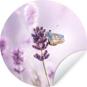 WallCircle - Behangcirkel - Lavendel - Vlinder - Bloemen - Botanisch - Behangcirkel zelfklevend - Zelfklevend behang - 50x50 cm - Behangsticker - Behang cirkel