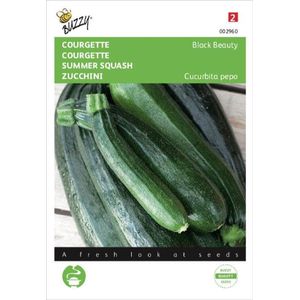 Buzzy Zaden - Courgette Black Beauty Verte De Milan