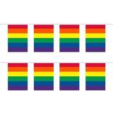 2x Gay Pride regenboog kleuren thema vlaggenlijnen 10 meter per stuk - LHBT thema artikelen