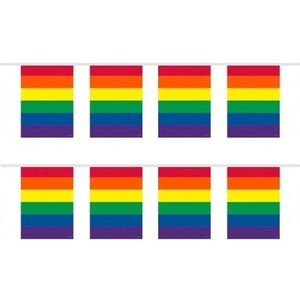 2x Gay Pride regenboog kleuren thema vlaggenlijnen 10 meter per stuk - LHBT thema artikelen
