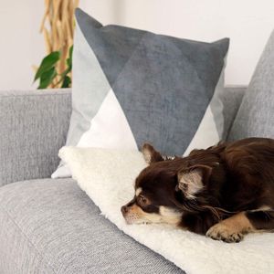huisdierdeken voor hond of kat, zachte afwerking, zware winterdeken, fleece deken gezellig kattenbed, 60 x 45 cm