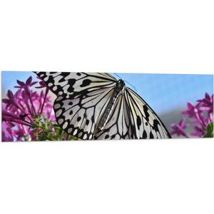 WallClassics - Vlag - Zwart met Witte Vlinder op Roze Bloemen - 150x50 cm Foto op Polyester Vlag