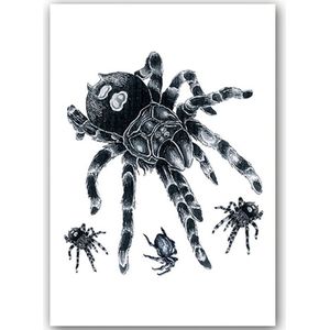 Temporary Halloween Tattoo #16 enge spinnen spiders [Make-up schmink Nep Fake tattoo - nep wond tattoos gezicht stickers spin bloed masker - Kostuum decoratie heren dames meisje jongen kind - Water overdraagbare festival sticker henna]