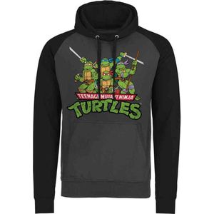 Teenage Mutant Ninja Turtles Hoodie/trui -2XL- Turtles Distressed Group Grijs/Zwart