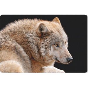 Bureau mat - Bruine wolf - 60x40