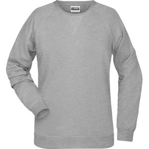 James and Nicholson Dames/dames Raglan Sweatshirt met lange mouwen (Grijze Heide)