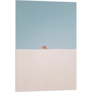 WallClassics - Vlag - Kat Kijkt over de Muur - 60x90 cm Foto op Polyester Vlag