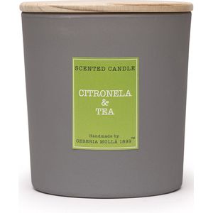 Cereria Molla 1899 - Geurkaars 230 gram- Citronella & Tea - 50 branduren