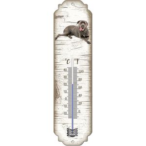 Thermometer: Cane corso | Hondenras | Temperatuur binnen en buiten | -25 tot +45C