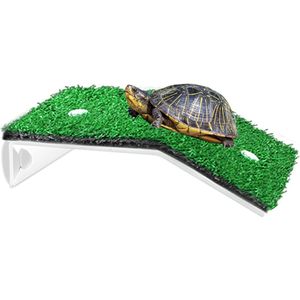 Schildpadden Verblijf Accessoires - Aquarium Decoratie - Schildpad - Decoratie - Schildpadden Verblijf - Accessoires Schildpad