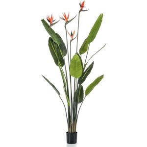 Emerald Kunstplant in pot strelitzia met 4 bloemen 150 cm