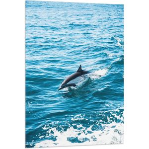 WallClassics - Vlag - Dolfijn Zwemmend in de Zee - 80x120 cm Foto op Polyester Vlag