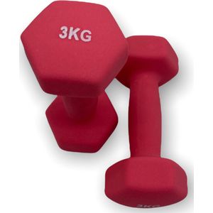 Padisport - Dumbell 2 X 3 Kg - Halter 3 Kg - Gewichten Set Halters - Gewichten 3 Kg - Gewichten - Dumbells - Halters - Gewichtjes 3 Kg