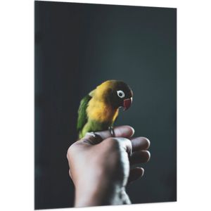 WallClassics - Vlag - Vogel op Hand - Zwartmaskeragapornis - 100x150 cm Foto op Polyester Vlag