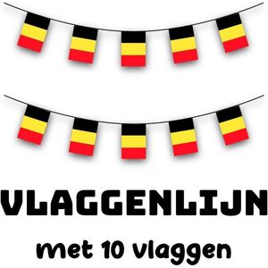 Akyol - belgie slinger - Vlaggenlijn - belgie - vlaggetjes - feestje -vlag - belgie vlag - 10 vlaggen