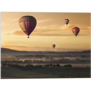 WallClassics - Vlag - Luchtballonen Zwevend boven Open Veld - 40x30 cm Foto op Polyester Vlag