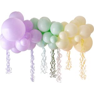 Ginger Ray - Ballonslinger - pastel regenboog - 45 ballonnen