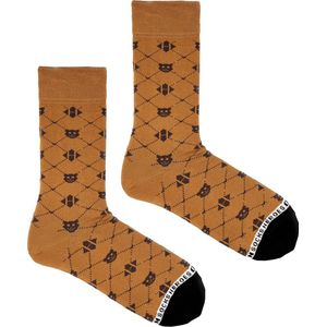 Heroes on Socks - Gift Panda Honey - Herensokken - Maat 41-46