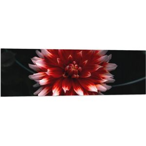 WallClassics - Vlag - Roze met Rode Bloem - 120x40 cm Foto op Polyester Vlag