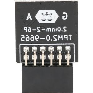 12PIN TPM 2.0 Module Encryptie Beveiligingsmodule - Hoge Beveiliging - Praktisch - Computer .