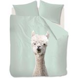 Ambiante Alpaca dekbedovertrek - Lits-Jumeaux - 240x200/220 - Groen