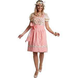dressforfun - Mini-Dirndl Herrenchiemsee model 2 XXL - verkleedkleding kostuum halloween verkleden feestkleding carnavalskleding carnaval feestkledij partykleding - 304674