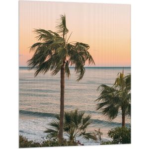 WallClassics - Vlag - Hoge Palmbomen bij Zee - 75x100 cm Foto op Polyester Vlag