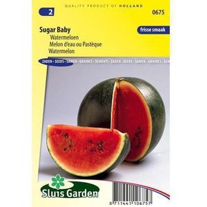 Sluis Garden - Watermeloen Sugar Baby