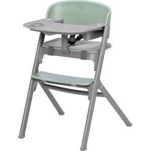 Kinderkraft LIVY - Kinderstoel - 3in1 - van 6 maanden tot 110 kg - stoel voor het hele gezin - ergonomische rugleuning - Verstelbare zitting - minimalistisch Nederlands design - Groene