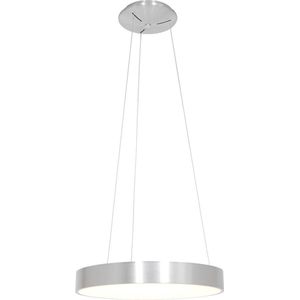 Hanglamp Steinhauer Ringlede - Zilver