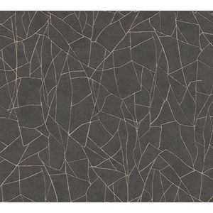 3D BEHANG | Grafisch - Zwart Metallic - A.S. Création French Affair