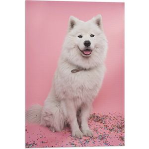 WallClassics - Vlag - Portret van Witte Hond tegen Roze Achtergrond met Confetti - 40x60 cm Foto op Polyester Vlag