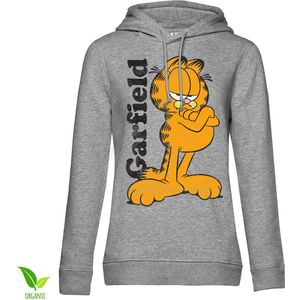 Garfield Hoodie/trui -S- Garfield Grijs