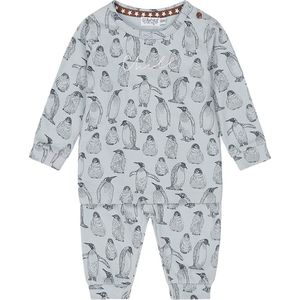 Dirkje Q- Boys arctic Jongens Pyjamaset - Maat 86/92