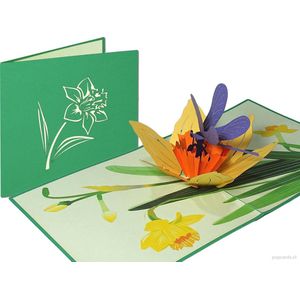 Popcards popupkaarten – Prachtige narcis met libelle Bloemen Verjaardag Felicitatie pop-up kaart 3D wenskaart
