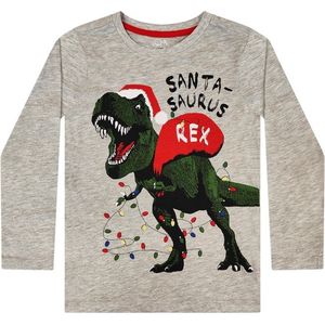 Kerst Longsleeve Santa Saurus Rex Grijs - Kinderen