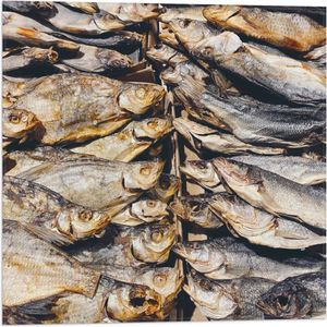 WallClassics - Vlag - Verse Vissen op een Vismarkt - 50x50 cm Foto op Polyester Vlag