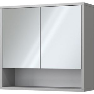 Vicco Badkamerspiegelkast Eliza, Grijs/Grijs, 70 x 65 cm met 2 deuren