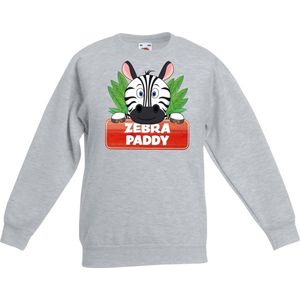 Paddy de zebra sweater grijs voor kinderen - unisex - zebra trui - kinderkleding / kleding 110/116
