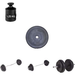 Halterschijf Gewichtsschijf 1.25 kg  – Fitness Gewicht – Dumbbell gewichten - Haltergewicht 1.25kg