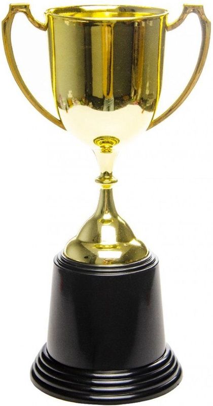 Trofee 22,8 x 9,2 cm goud - Beker Troffee Gewonnen