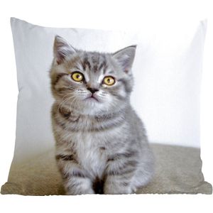 Sierkussen - Kitten Ogen - Bruin - 45 Cm X 45 Cm