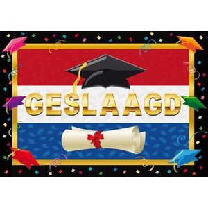 2x stuks deurposters geslaagd Nederlandse vlag 59 x 42 cm - Examen diploma uitreiking feestartikelen