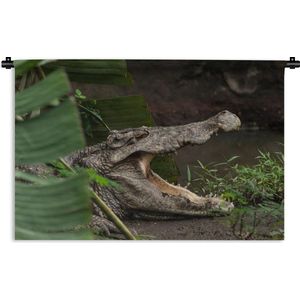 Wandkleed Junglebewoners - Krokodil met geopende bek Wandkleed katoen 90x60 cm - Wandtapijt met foto