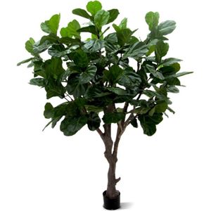 Lyrata Giant deluxe kunstboom 260cm