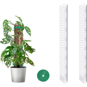 Stevige Mosstok Ondersteuning voor Klimplanten met Klittenband 2 Stuks 61 cm