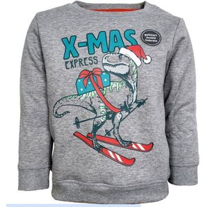 Kerst - Winter - Sweater - kerst - Dinosaurus - kinder / tiener - grijs - maat 134