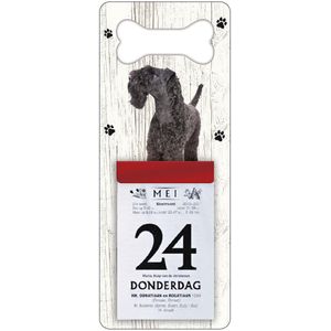 Scheurkalender 2024 Hond: Kerry Blue Terrier